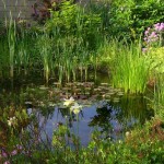 Garten von Astrid Demant