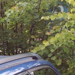 Parkplatzschild am S-Bahnhof Eichwalde Parkplatzschild am S-Bahnhof Eichwalde