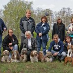 Die Liebhaber kleiner Hunde trainieren regelmäßig für die Hundeschau. (Foto: VDK Ortsgruppe Berliner Umland)