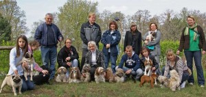 Die Liebhaber kleiner Hunde trainieren regelmäßig für die Hundeschau. (Foto: VDK Ortsgruppe Berliner Umland)