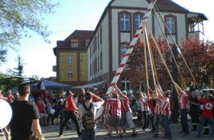 Mitglieder verschiedener Sportvereine richteten den Maibaum auf dem Marktplatz auf. (Foto: Jens Wende)
