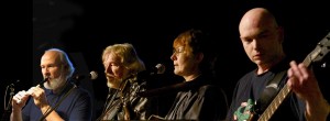 Die Berliner Band Grünland eröffnet mit Irish Folk die Konzertreihe zum Rosenfest. (Foto: Grünland)