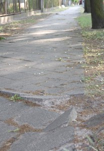 Stolperkanten auf dem Gehweg an der Waldstraße. Wurzeln der Straßenbäume haben die Gehwegplatten hoch gedrückt. (Foto: Jörg Levermann)