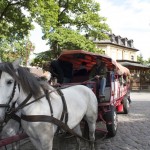 Die Pferde waren weder durch lauten Rock 'n Roll noch durch die feiernden Mitfahrer der Kremser aus der Ruhe zu bringen. (Foto: Jörg Levermann)