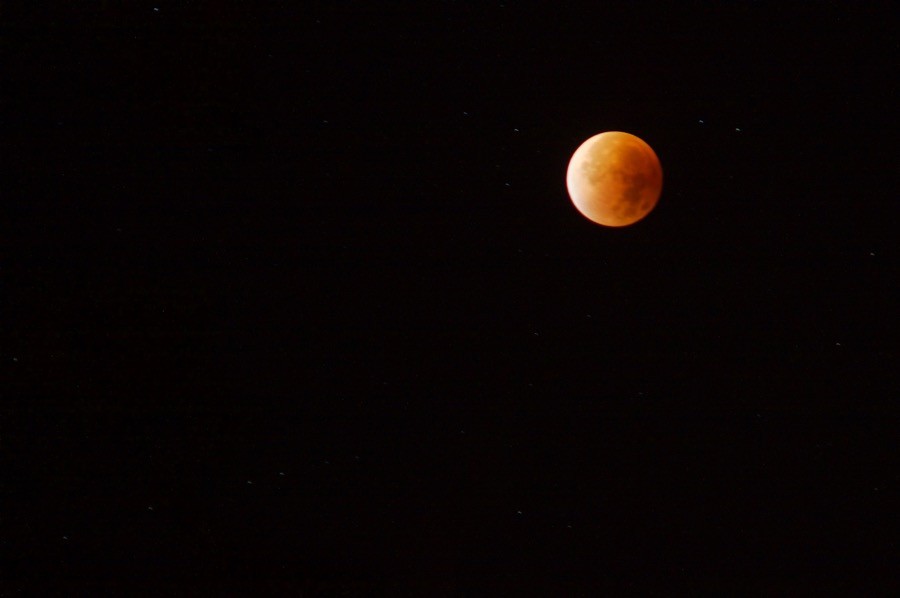 In den frühen Morgenstunden war auch in Eichwalde die Mondfinsternis gut zu beobachten. Im Kernschatten der Erde erschien der Mond in einer rötlichen Farbe. (Foto: Jörg Levermann)