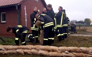 Hand in Hand: Miersdorfer und Eichwalder Feuerwehrkameraden schichten eine Deicherhöhung aus Sandsäcken. (Foto: Freiwillige Feuerwehr Eichwalde, Stefan Olesch)