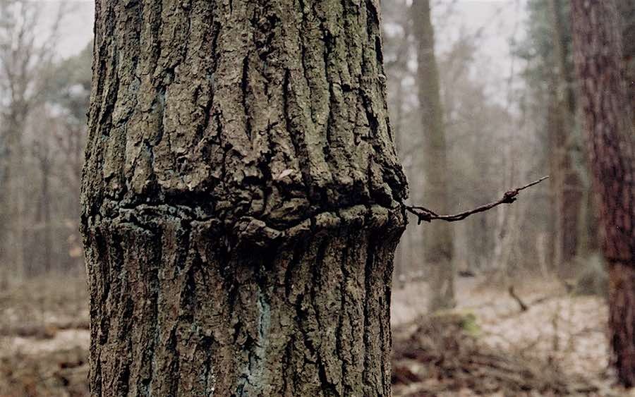 Relikte einer Grenze zwischen Berlin und der sowjetisch besetzten Zone werden in der Ausstellung in der Alten Feuerwache gezeigt. (Foto: Burkhard Fritz)