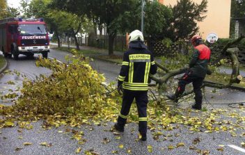 Im Herbst 2017 hatten die Feuerwehren die meisten wetterbedingten Einsätze, auch in Eichwalde. (Archiv-Foto: Jörg Levermann)