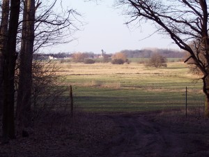 Schulzendorf aus Richtung Miersdorf gesehen.