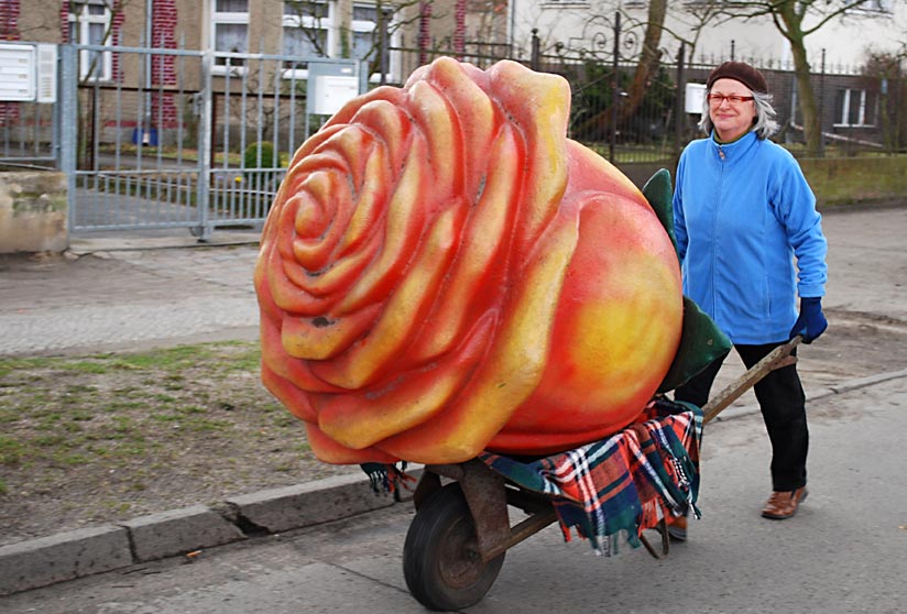 Kunst-Rose auf Wanderschaft. (Foto: Buschek)