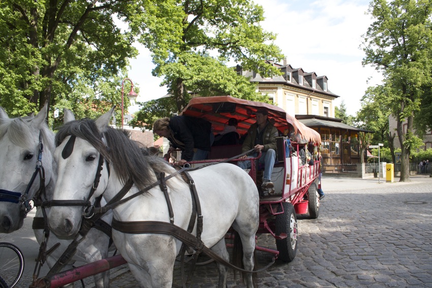 Die Pferde waren weder durch lauten Rock 'n Roll noch durch die feiernden Mitfahrer der Kremser aus der Ruhe zu bringen. (Foto: Jörg Levermann)