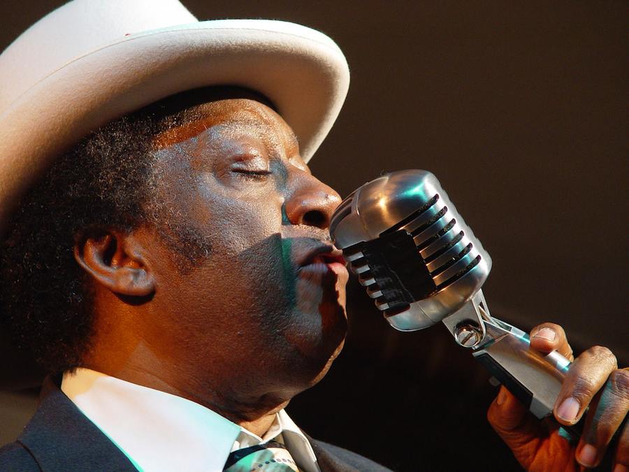 Der Auftritt von Eb Davis gilt bei Kennern der Berliner Blues-Sene als ein Highlight beim Blues Open-Air-Festival in Niederlehme (Foto: Eb u. Nina Davis)