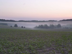 Sonnenaufgang kurz vor Sienno in Polen. (Foto: Jörg Levermann)