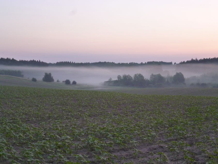 Sonnenaufgang kurz vor Sienno in Polen. (Foto: Jörg Levermann)