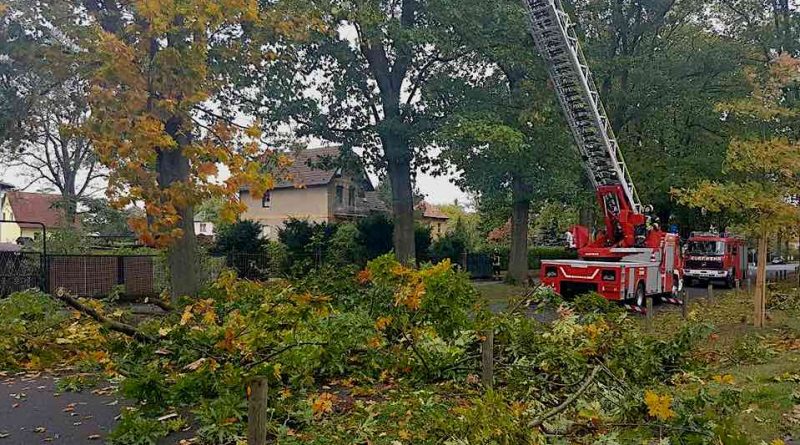 Zahlreiche Bäume stürzten durch den Sturm Xavier auf Straßen und Gebäude in Eichwalde. (Foto: Feuerwehr Eichwalde)