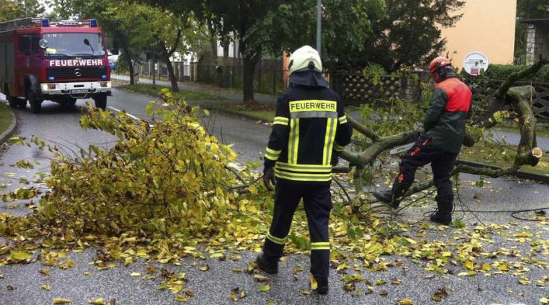 Im Herbst 2017 hatten die Feuerwehren die meisten wetterbedingten Einsätze, auch in Eichwalde. (Archiv-Foto: Jörg Levermann)